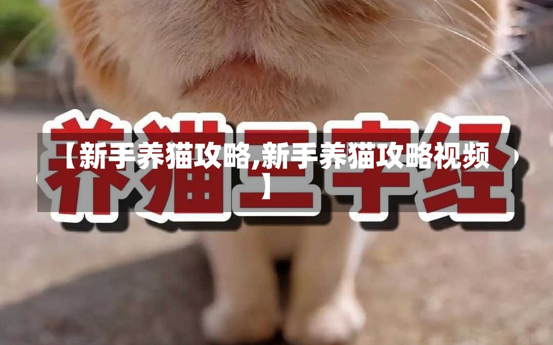 【新手养猫攻略,新手养猫攻略视频】-第1张图片-通任唐游戏