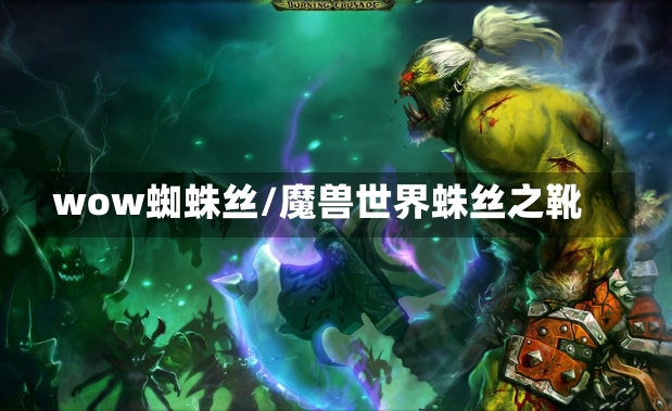 wow蜘蛛丝/魔兽世界蛛丝之靴-第3张图片-通任唐游戏