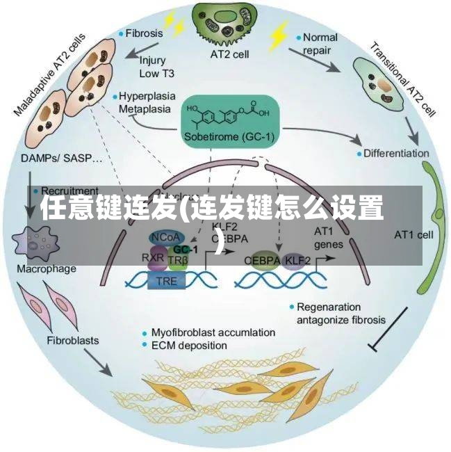 任意键连发(连发键怎么设置)-第1张图片-通任唐游戏