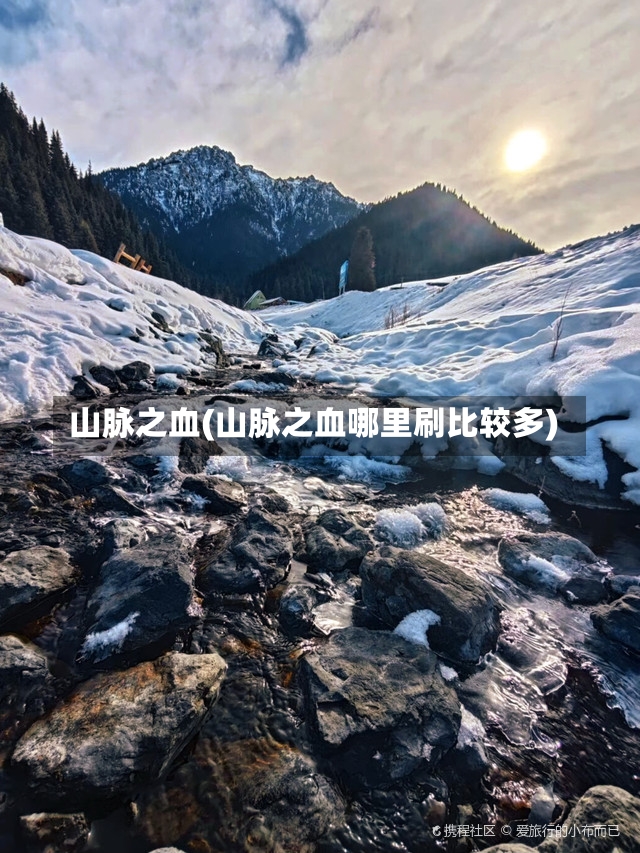 山脉之血(山脉之血哪里刷比较多)-第2张图片-通任唐游戏