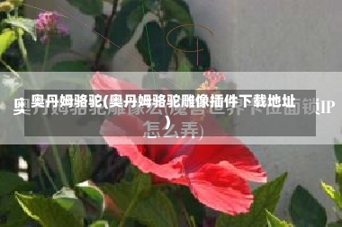 奥丹姆骆驼(奥丹姆骆驼雕像插件下载地址)-第1张图片-通任唐游戏