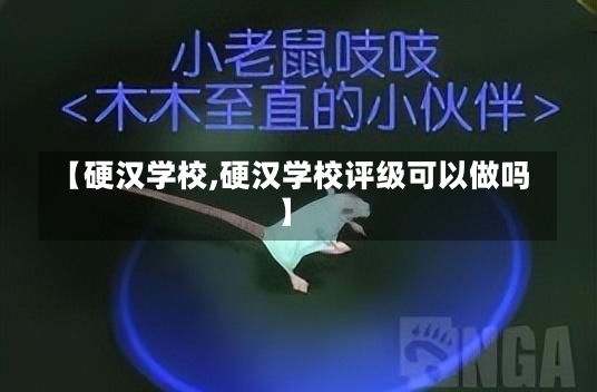 【硬汉学校,硬汉学校评级可以做吗】-第1张图片-通任唐游戏