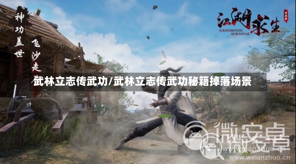 武林立志传武功/武林立志传武功秘籍掉落场景-第1张图片-通任唐游戏