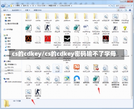 cs的cdkey/cs的cdkey密码输不了字母-第1张图片-通任唐游戏