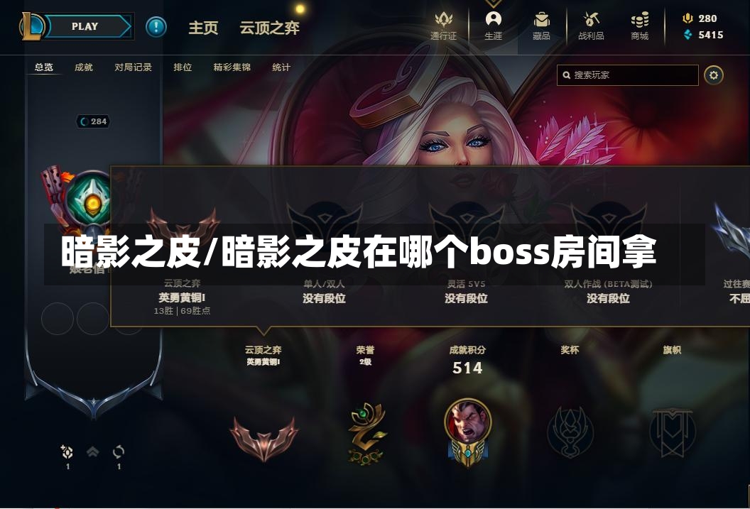 暗影之皮/暗影之皮在哪个boss房间拿-第2张图片-通任唐游戏