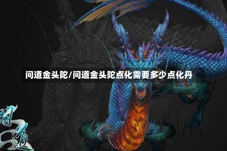 问道金头陀/问道金头陀点化需要多少点化丹-第1张图片-通任唐游戏