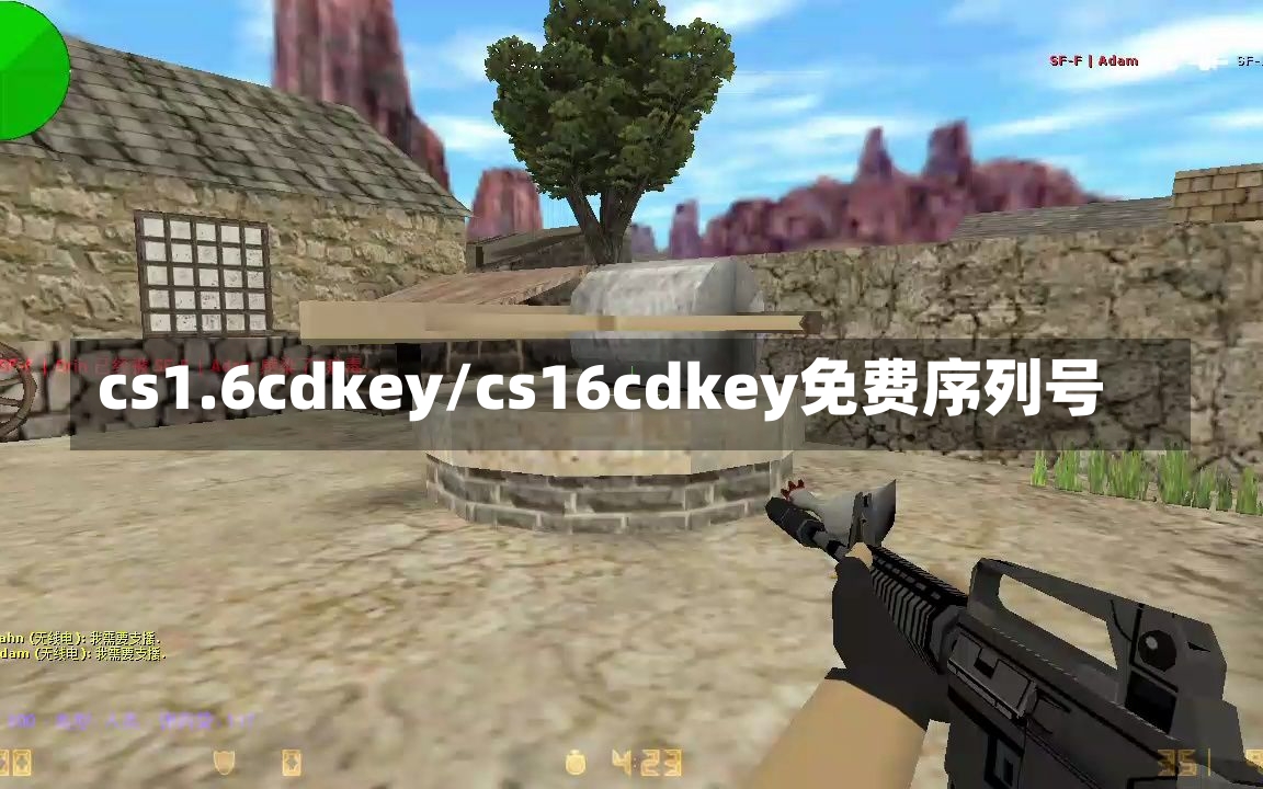 cs1.6cdkey/cs16cdkey免费序列号-第1张图片-通任唐游戏