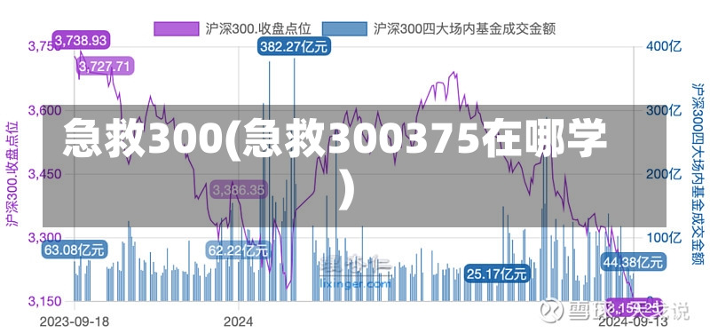 急救300(急救300375在哪学)-第1张图片-通任唐游戏