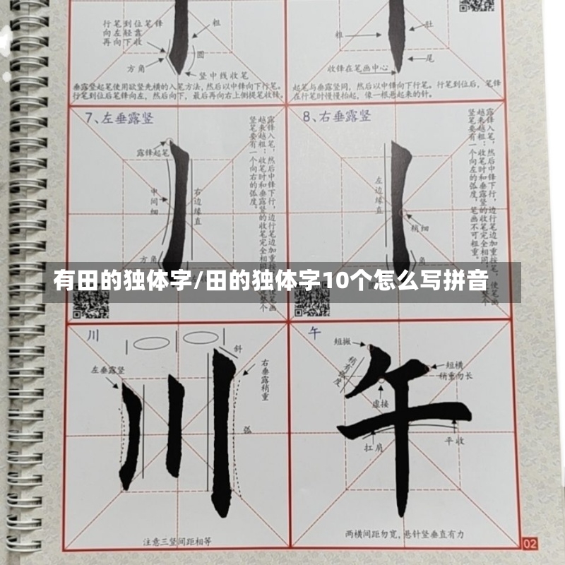 有田的独体字/田的独体字10个怎么写拼音-第1张图片-通任唐游戏