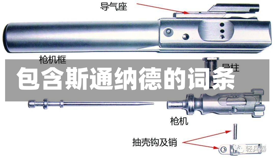 包含斯通纳德的词条-第3张图片-通任唐游戏