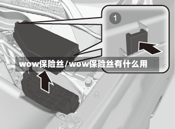 wow保险丝/wow保险丝有什么用-第1张图片-通任唐游戏