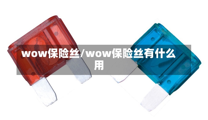 wow保险丝/wow保险丝有什么用-第2张图片-通任唐游戏