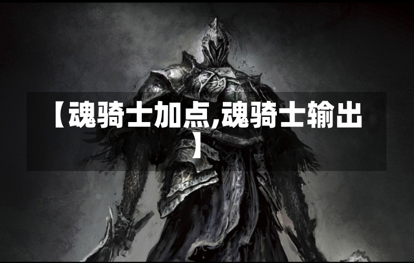 【魂骑士加点,魂骑士输出】-第2张图片-通任唐游戏