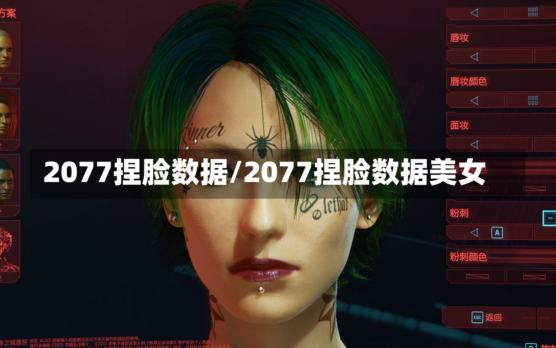 2077捏脸数据/2077捏脸数据美女-第3张图片-通任唐游戏