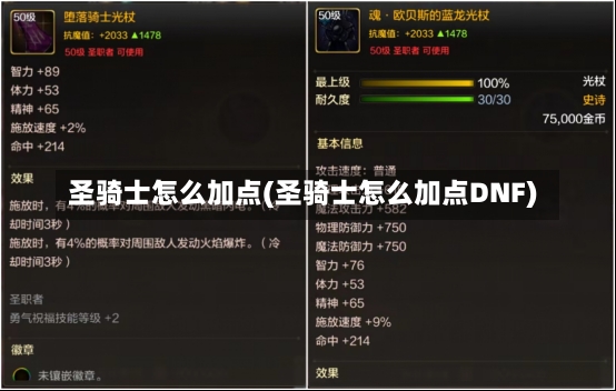 圣骑士怎么加点(圣骑士怎么加点DNF)-第1张图片-通任唐游戏
