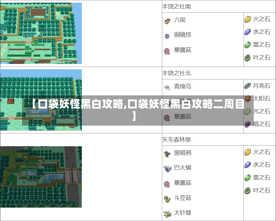 【口袋妖怪黑白攻略,口袋妖怪黑白攻略二周目】-第1张图片-通任唐游戏