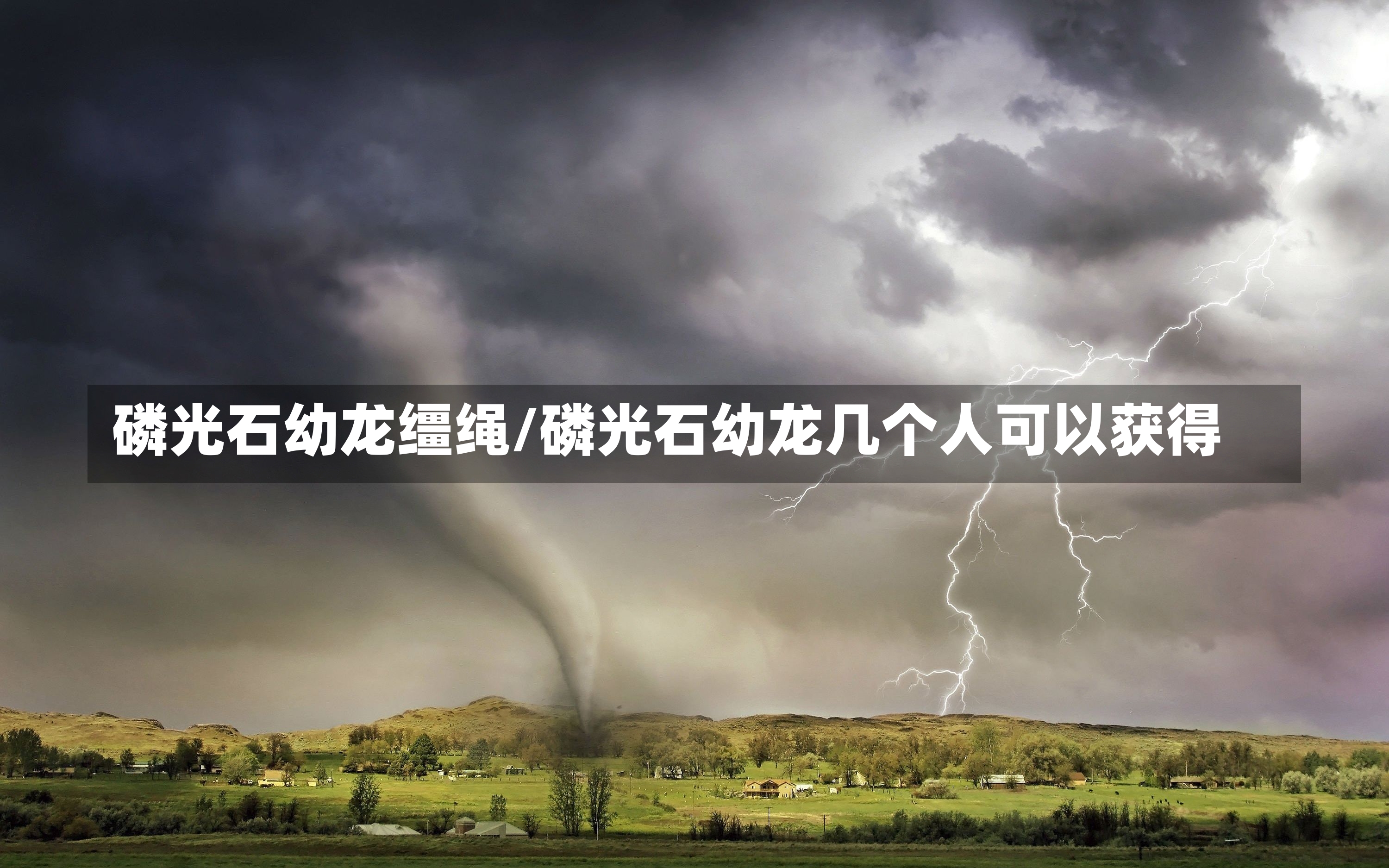 磷光石幼龙缰绳/磷光石幼龙几个人可以获得-第1张图片-通任唐游戏