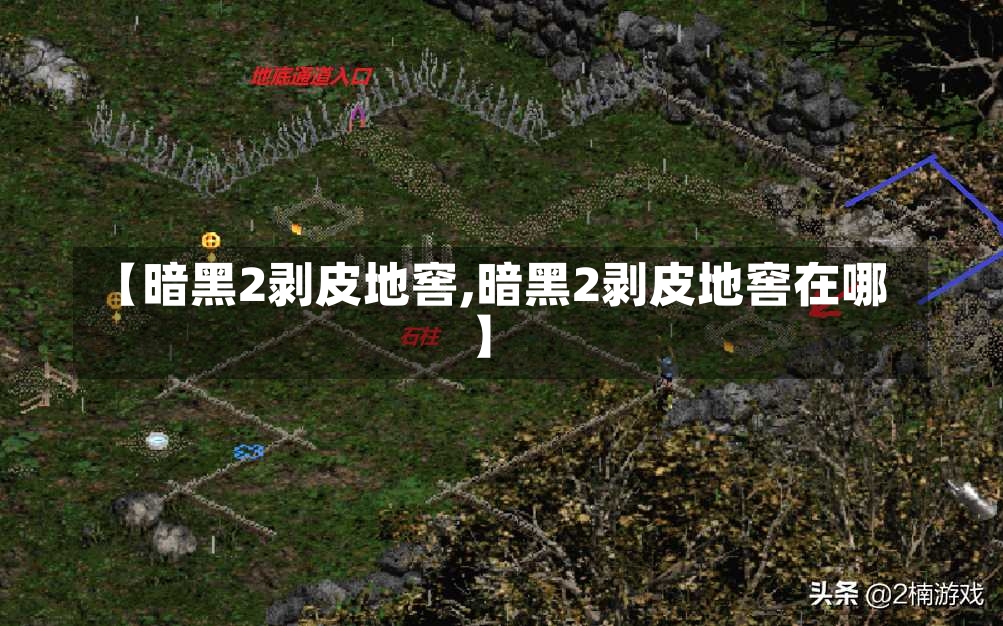 【暗黑2剥皮地窖,暗黑2剥皮地窖在哪】-第2张图片-通任唐游戏