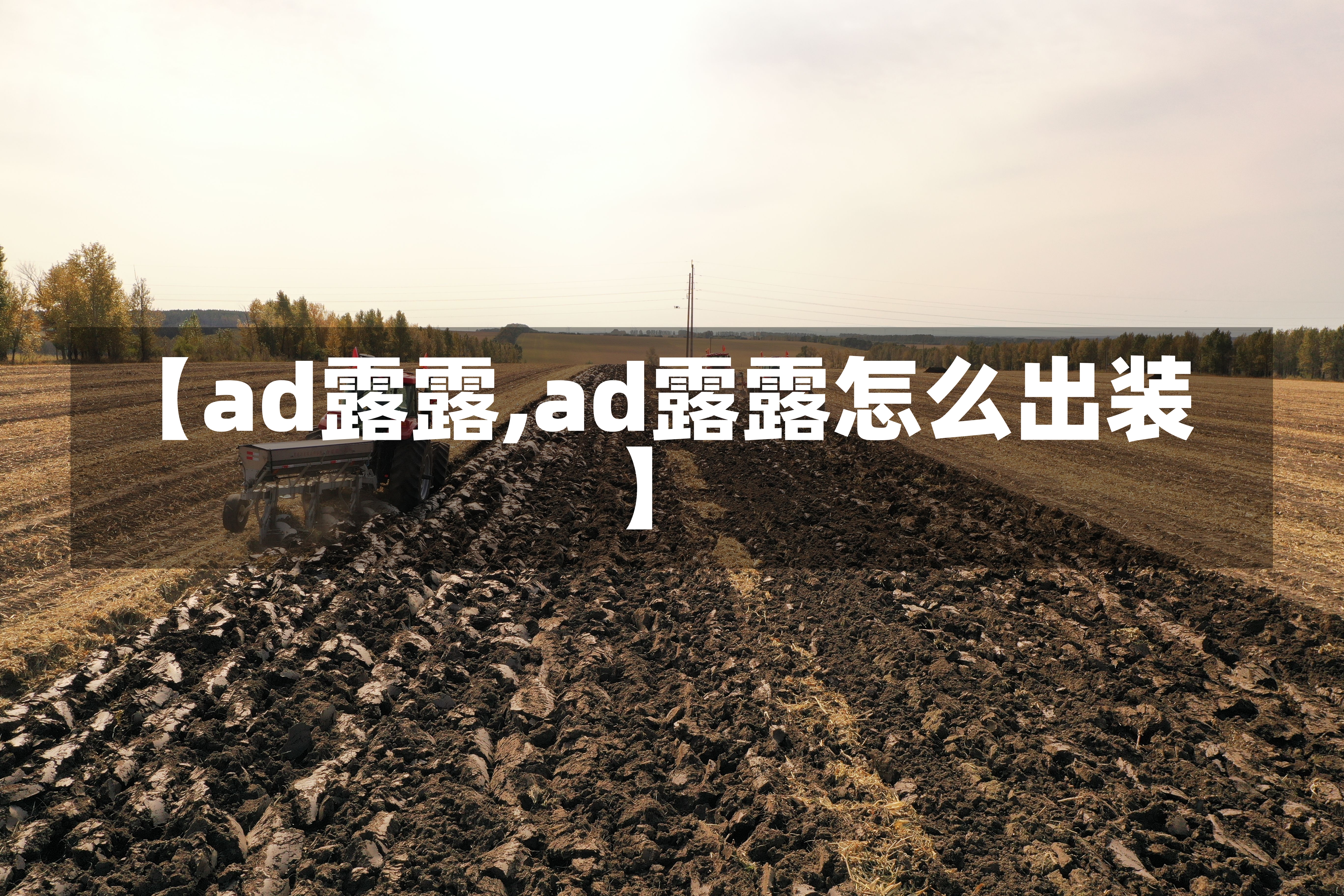 【ad露露,ad露露怎么出装】-第1张图片-通任唐游戏