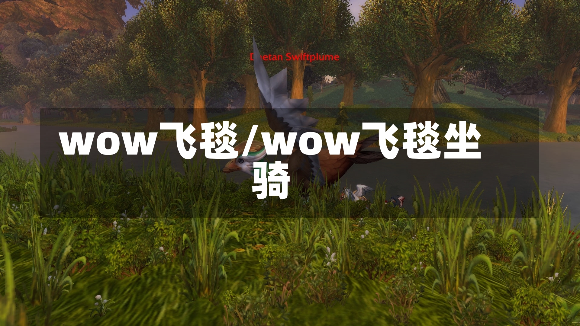 wow飞毯/wow飞毯坐骑-第2张图片-通任唐游戏