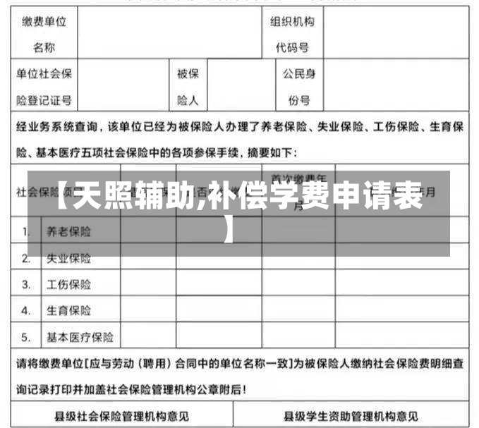 【天照辅助,补偿学费申请表】-第1张图片-通任唐游戏