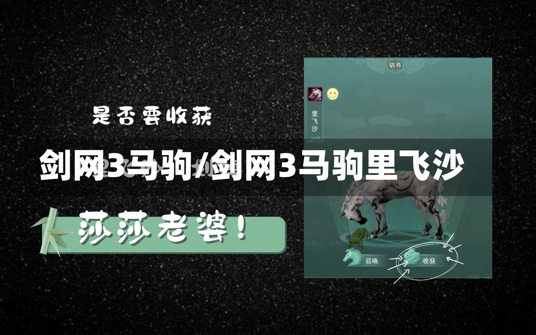 剑网3马驹/剑网3马驹里飞沙-第1张图片-通任唐游戏