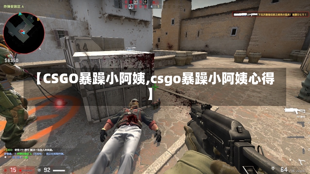 【CSGO暴躁小阿姨,csgo暴躁小阿姨心得】-第3张图片-通任唐游戏