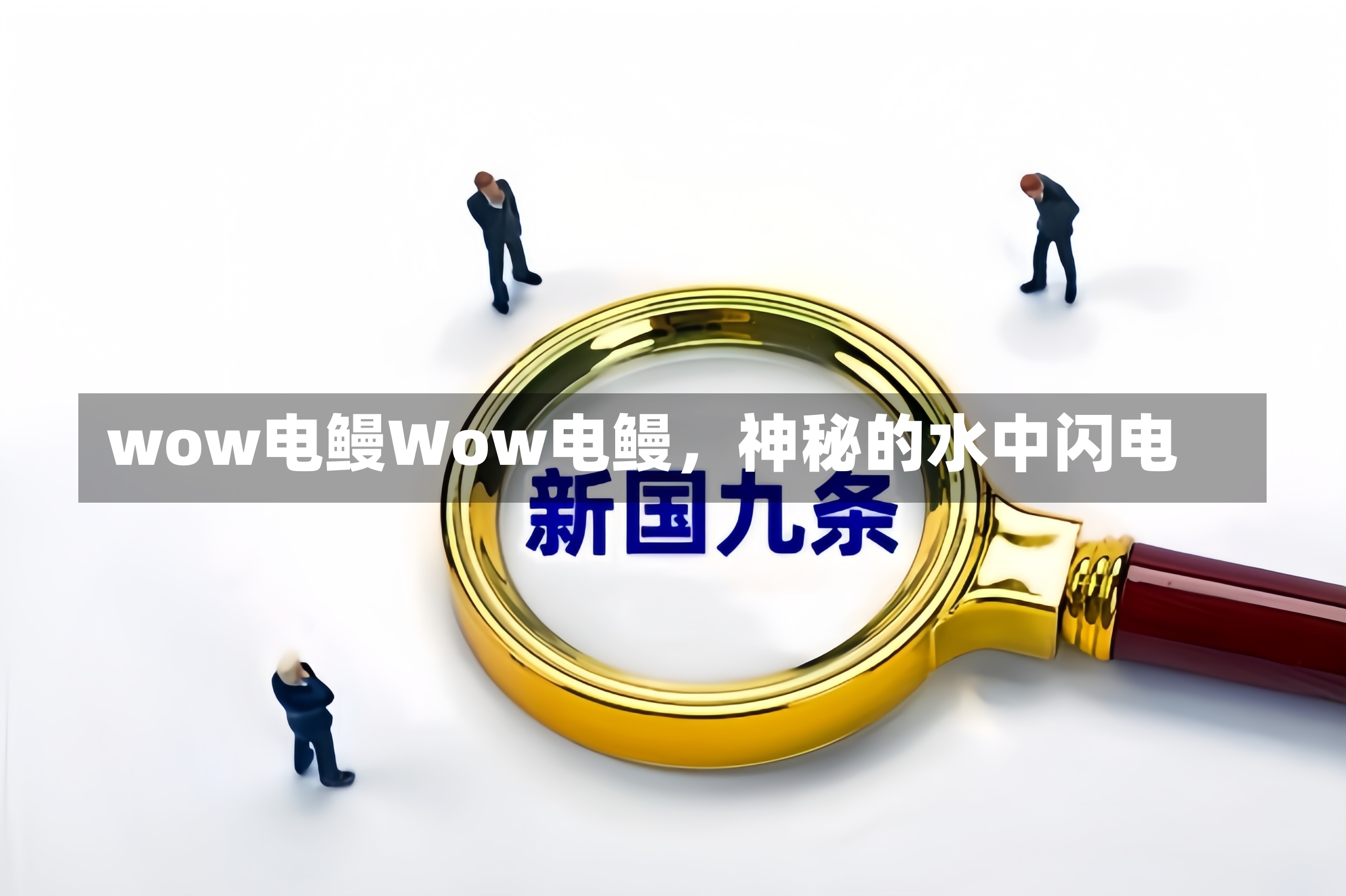 wow电鳗Wow电鳗，神秘的水中闪电-第2张图片-通任唐游戏