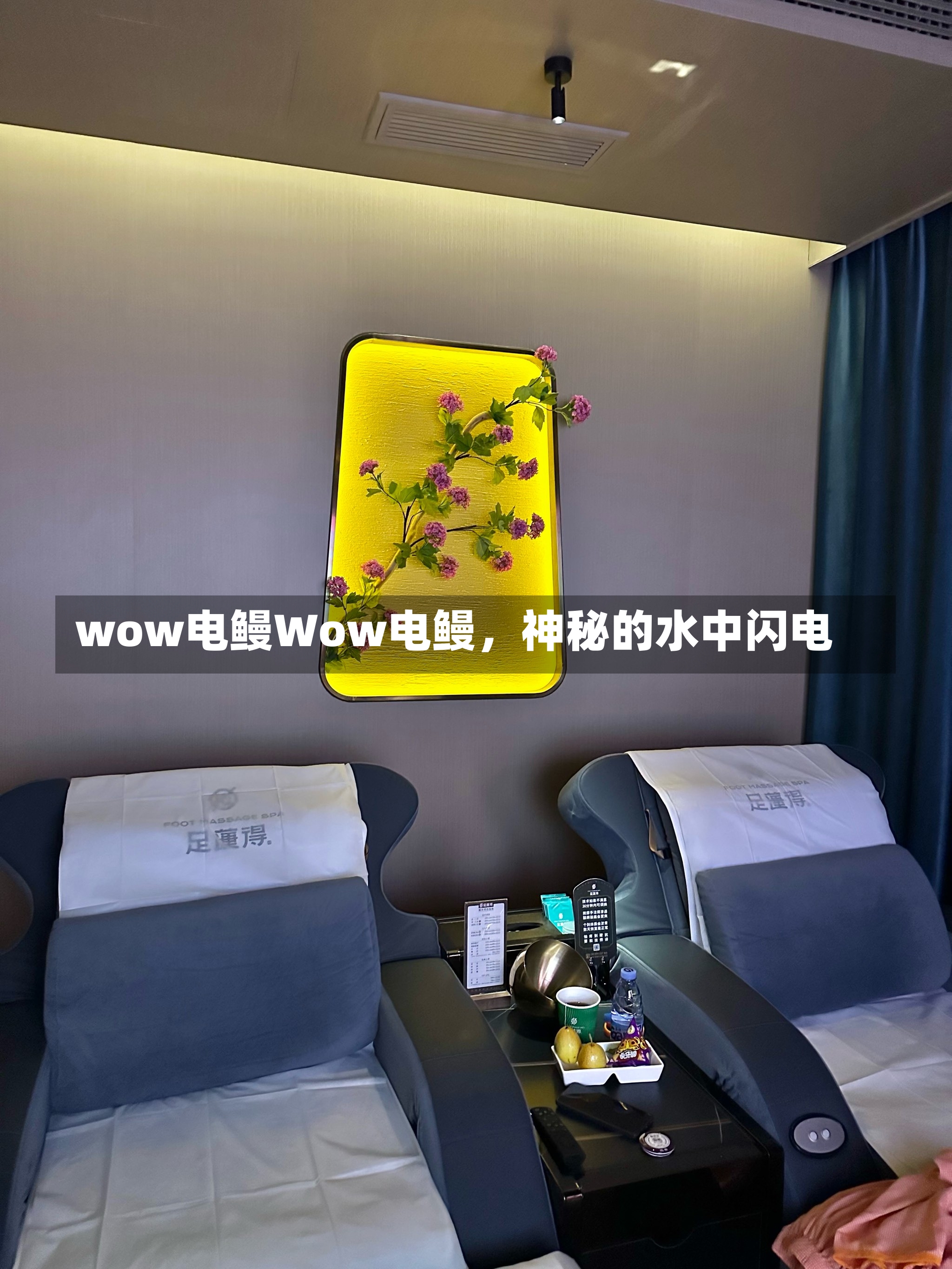 wow电鳗Wow电鳗，神秘的水中闪电-第3张图片-通任唐游戏