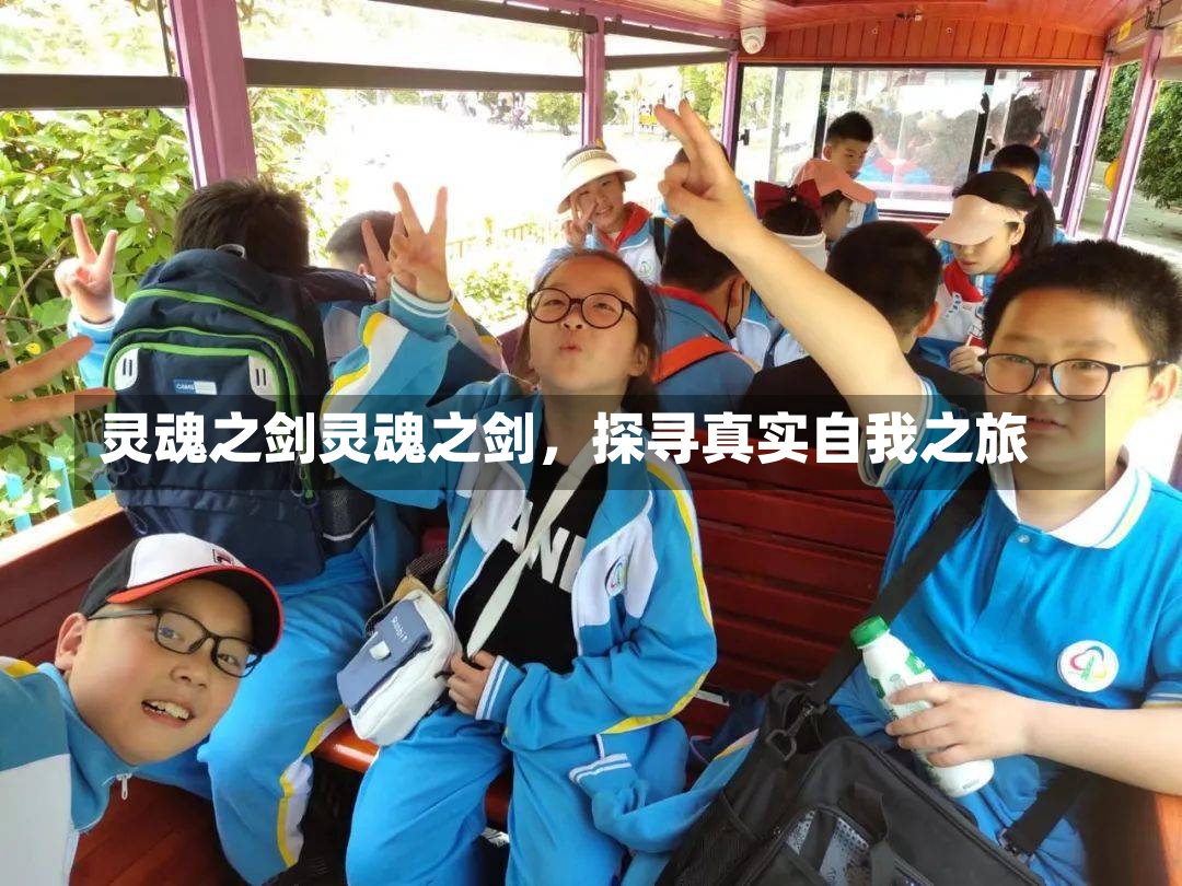 灵魂之剑灵魂之剑，探寻真实自我之旅-第2张图片-通任唐游戏