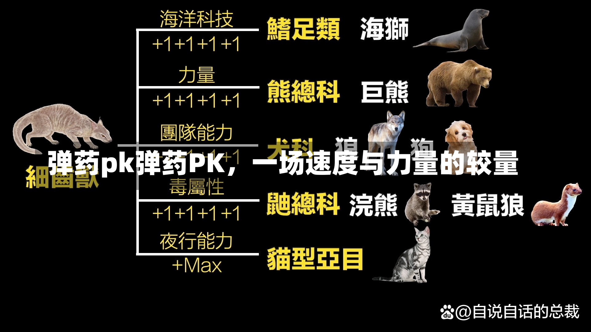 弹药pk弹药PK，一场速度与力量的较量-第1张图片-通任唐游戏