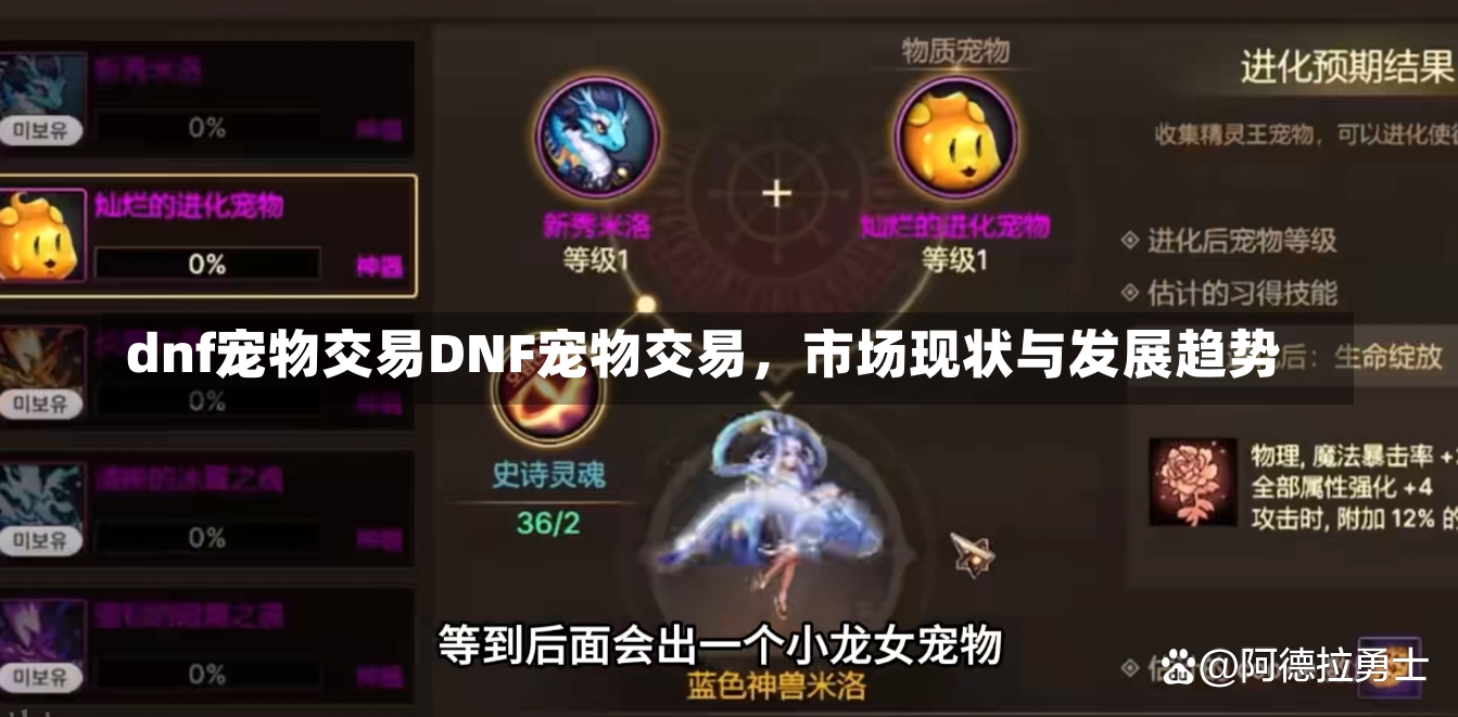 dnf宠物交易DNF宠物交易，市场现状与发展趋势-第2张图片-通任唐游戏