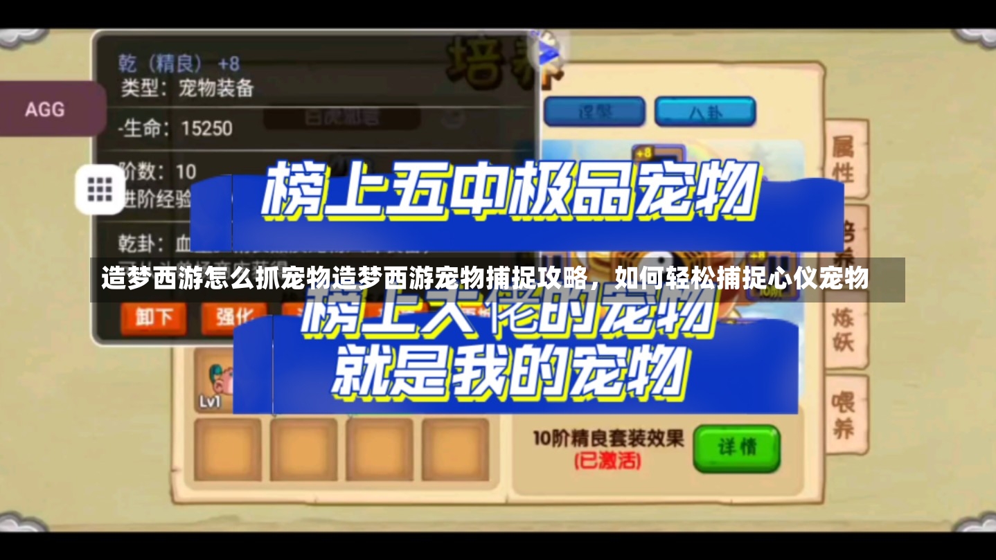 造梦西游怎么抓宠物造梦西游宠物捕捉攻略，如何轻松捕捉心仪宠物-第1张图片-通任唐游戏