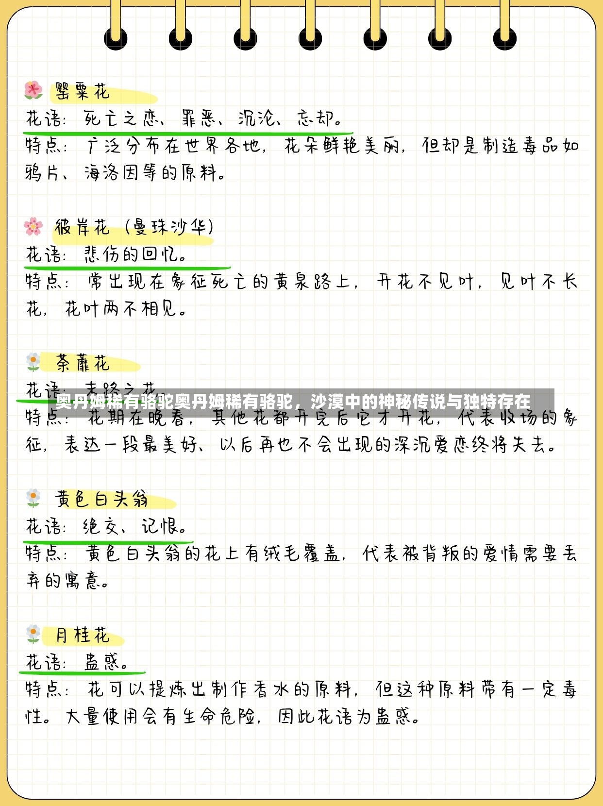 奥丹姆稀有骆驼奥丹姆稀有骆驼，沙漠中的神秘传说与独特存在-第2张图片-通任唐游戏