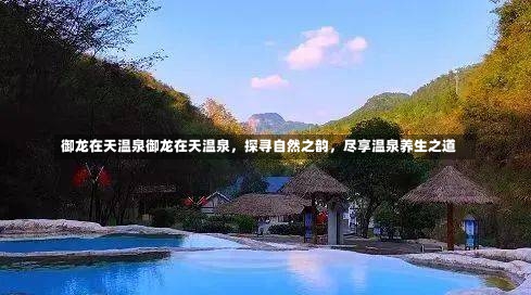 御龙在天温泉御龙在天温泉，探寻自然之韵，尽享温泉养生之道-第2张图片-通任唐游戏