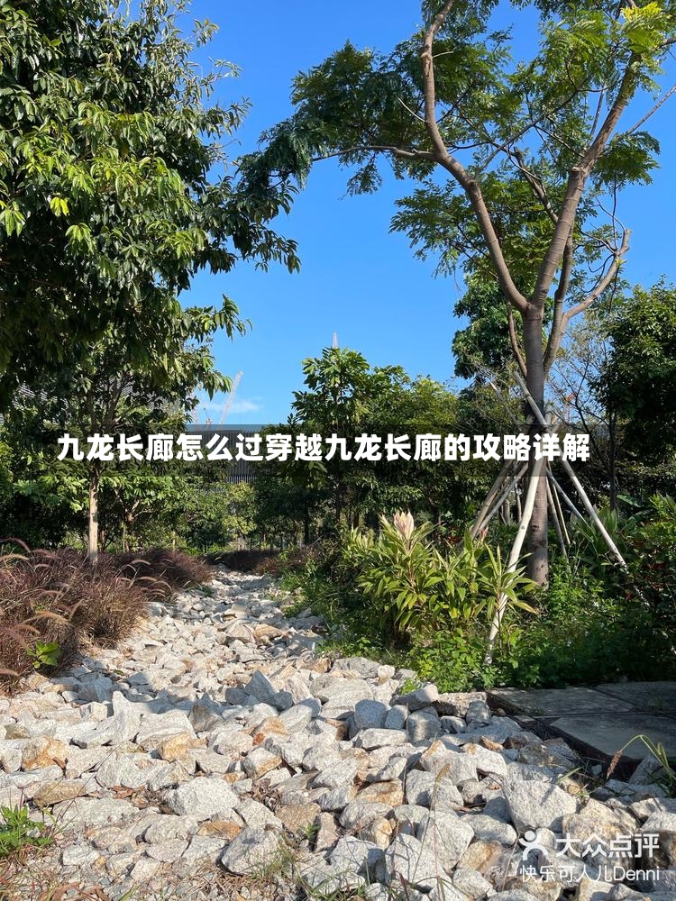 九龙长廊怎么过穿越九龙长廊的攻略详解-第2张图片-通任唐游戏