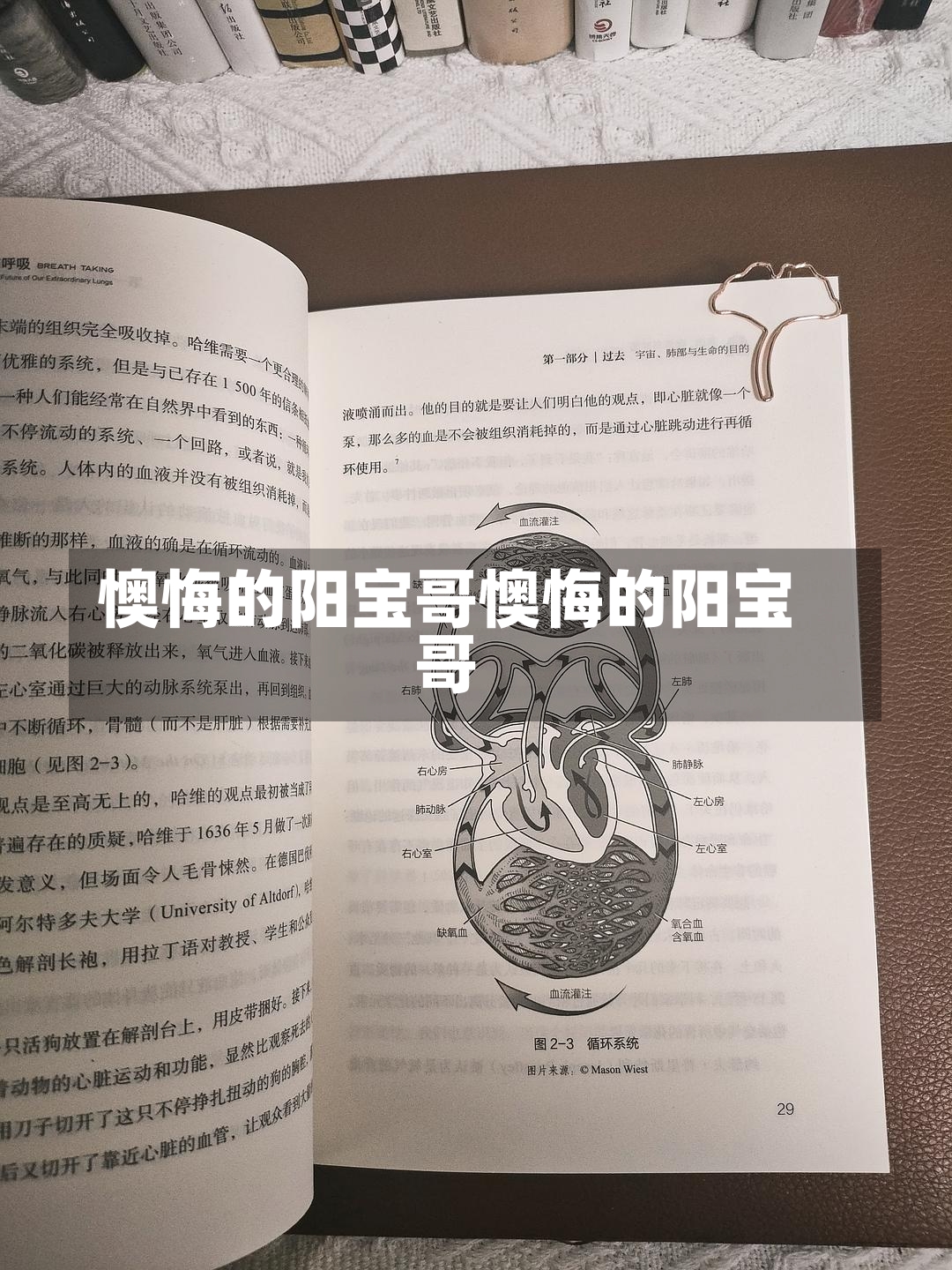 懊悔的阳宝哥懊悔的阳宝哥-第3张图片-通任唐游戏