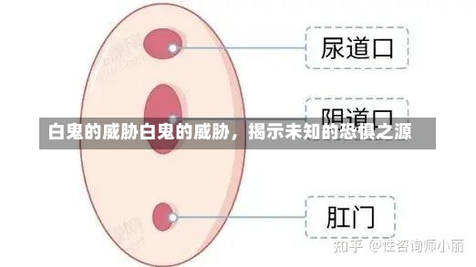 白鬼的威胁白鬼的威胁，揭示未知的恐惧之源-第1张图片-通任唐游戏