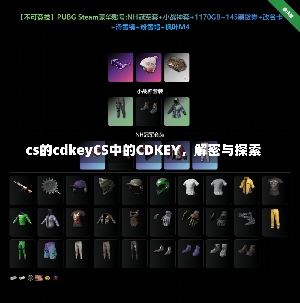 cs的cdkeyCS中的CDKEY，解密与探索-第1张图片-通任唐游戏