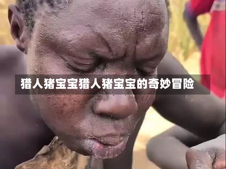 猎人猪宝宝猎人猪宝宝的奇妙冒险-第1张图片-通任唐游戏