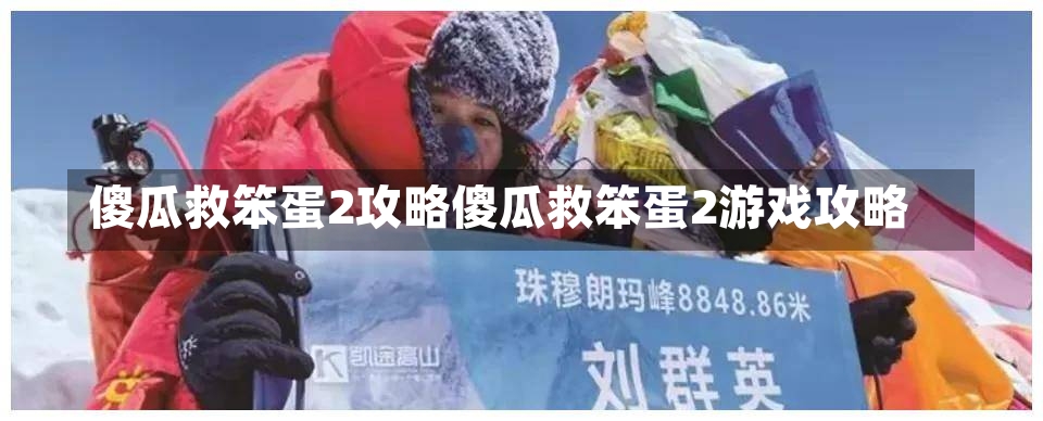 傻瓜救笨蛋2攻略傻瓜救笨蛋2游戏攻略-第2张图片-通任唐游戏