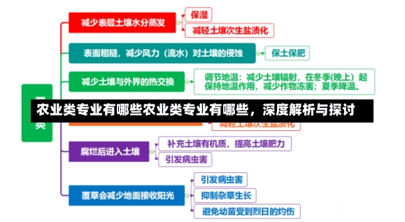 农业类专业有哪些农业类专业有哪些，深度解析与探讨-第2张图片-通任唐游戏