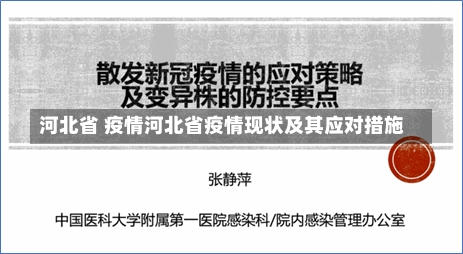 河北省 疫情河北省疫情现状及其应对措施-第2张图片-通任唐游戏