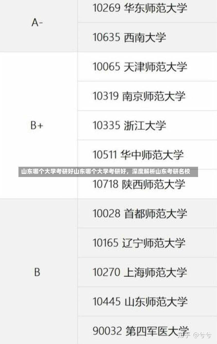 山东哪个大学考研好山东哪个大学考研好，深度解析山东考研名校-第1张图片-通任唐游戏