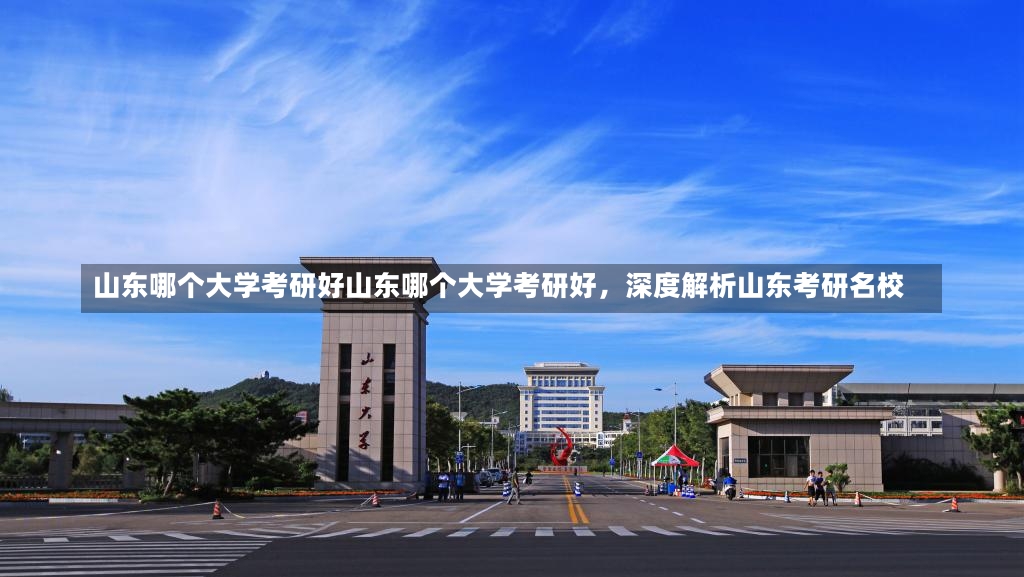 山东哪个大学考研好山东哪个大学考研好，深度解析山东考研名校-第2张图片-通任唐游戏