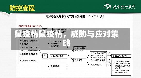 鼠疫情鼠疫情，威胁与应对策略-第1张图片-通任唐游戏