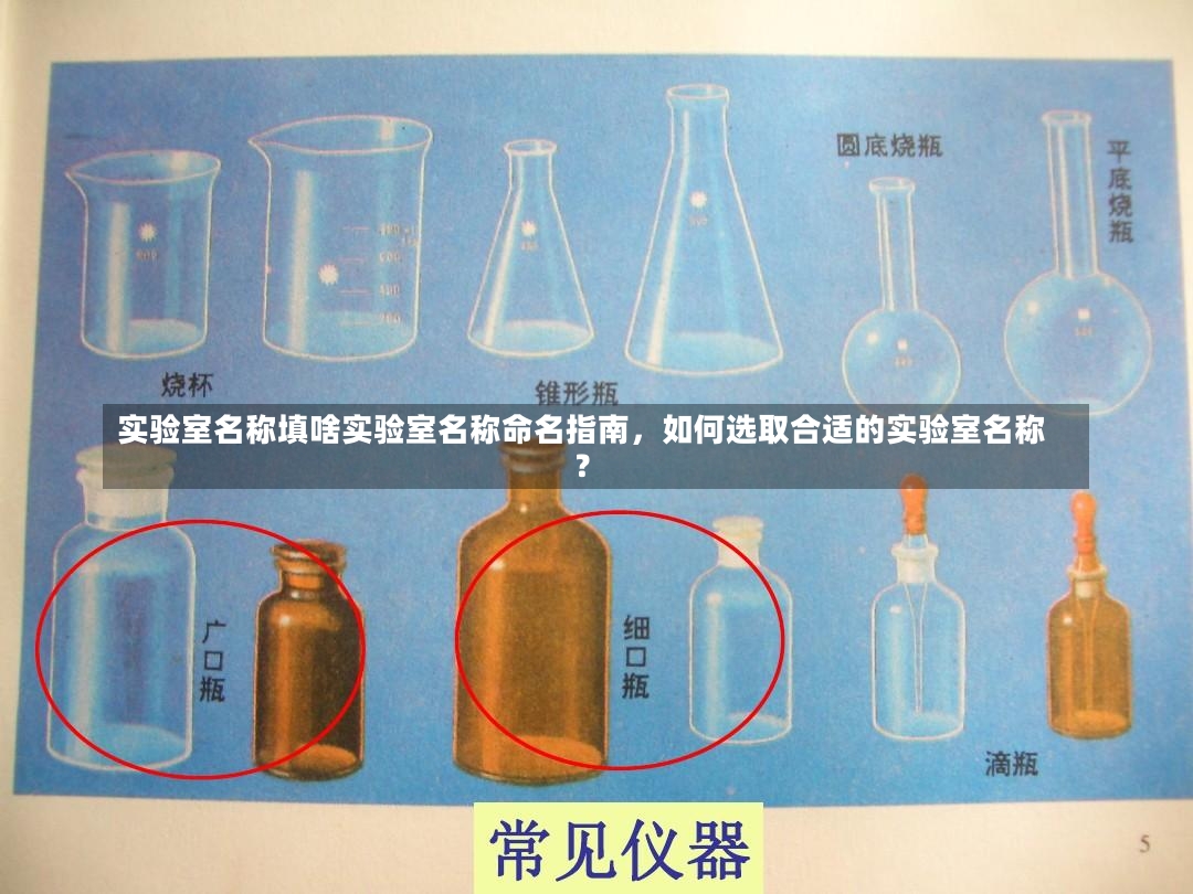 实验室名称填啥实验室名称命名指南，如何选取合适的实验室名称？-第1张图片-通任唐游戏