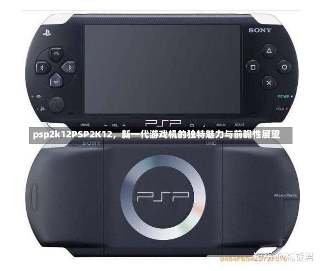 psp2k12PSP2K12，新一代游戏机的独特魅力与前瞻性展望-第1张图片-通任唐游戏