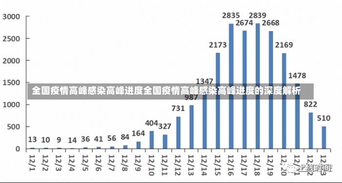 全国疫情高峰感染高峰进度全国疫情高峰感染高峰进度的深度解析-第2张图片-通任唐游戏