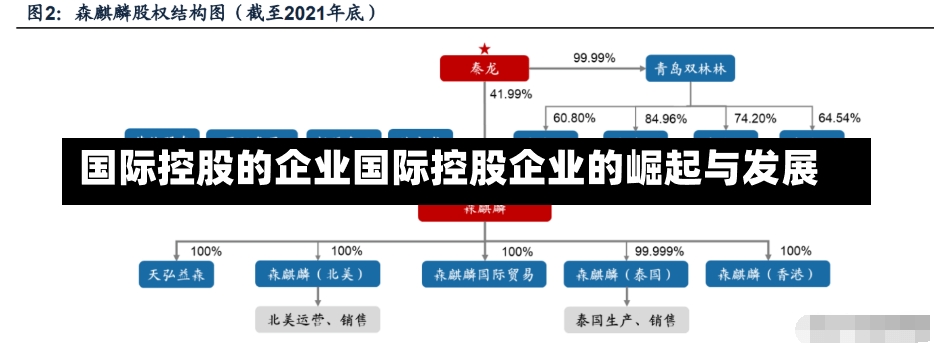 国际控股的企业国际控股企业的崛起与发展-第2张图片-通任唐游戏